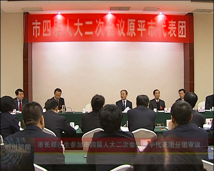 市长郑连生参加市四届人大二次会议原平代表团分团审议​