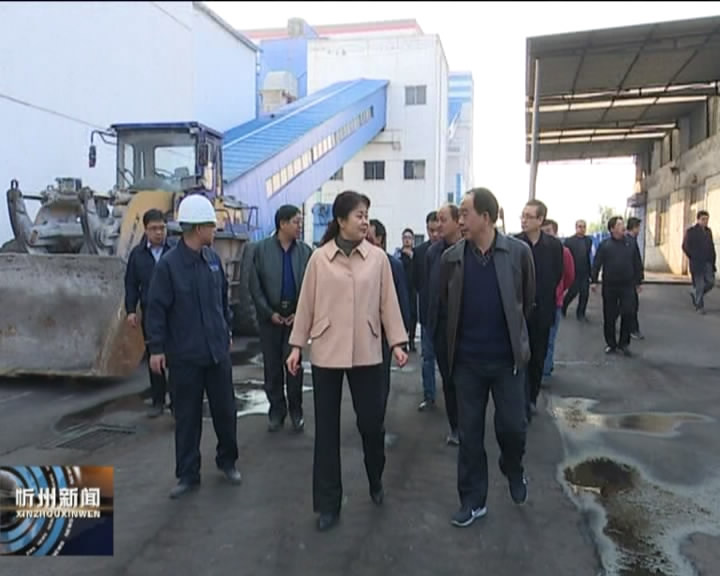 市人大环保执法检查组和忻州环保行记者团在繁峙 原平检查采访​