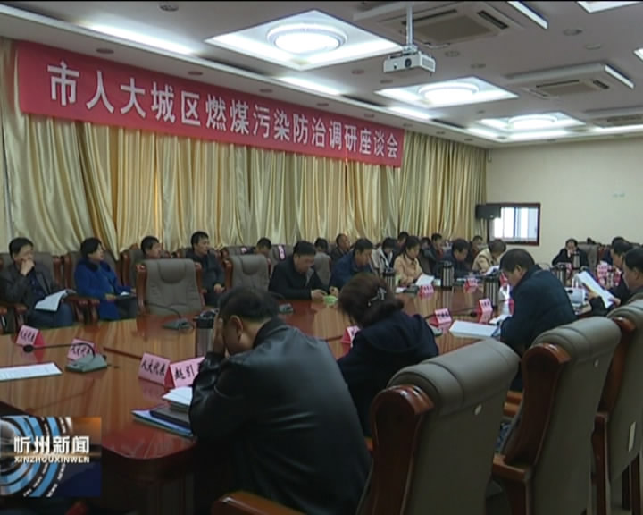 市人大调研组在忻州城区调研燃煤污染防治工作​