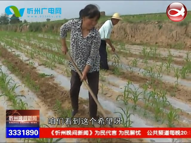忻府区西庄村：发展有机旱作农业 为脱贫致富趟出新路子​