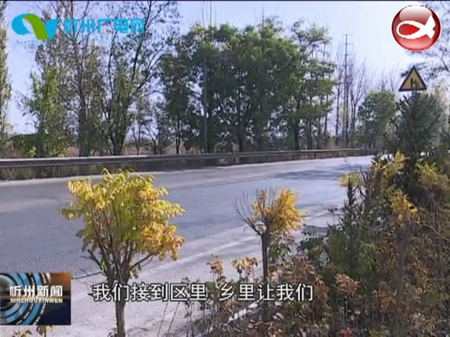 忻府区兰村乡：通道绿化换新颜 环境整治见成效​