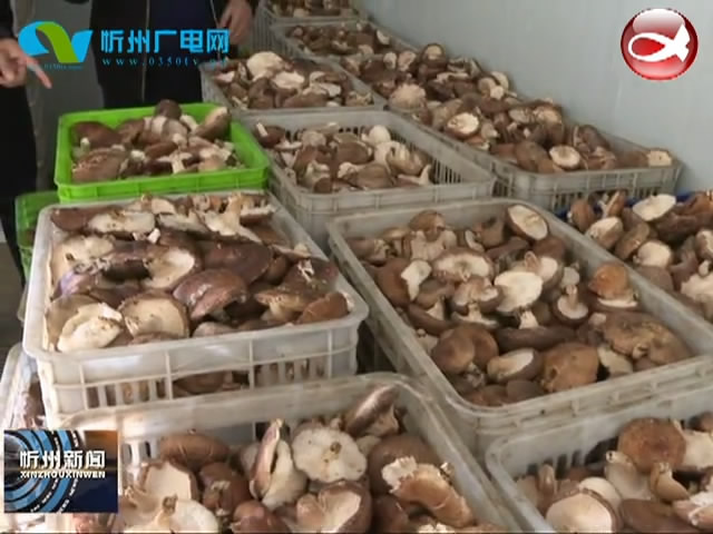 静乐杜家村镇：千方百计保障农副产品销售 多措并举促进贫困户就业​
