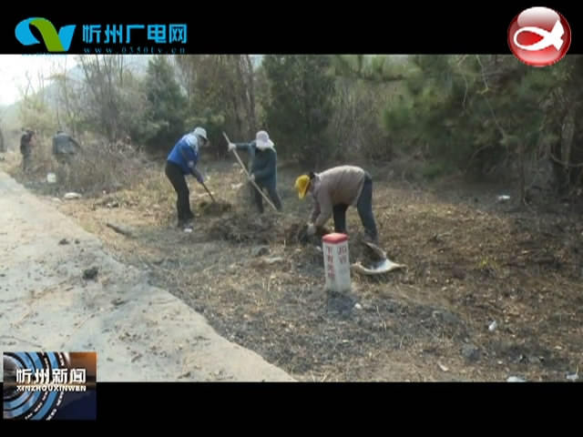 五台东冶镇：打造护林隔离带 筑牢安全防火网​