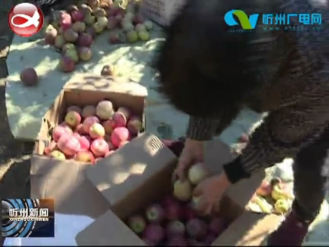 繁峙杨树湾村：延伸苹果产业链 果农增产又增收​