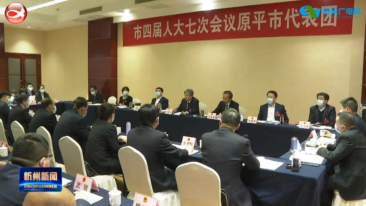 市长朱晓东参加市四届人大七次会议原平市代表团审议