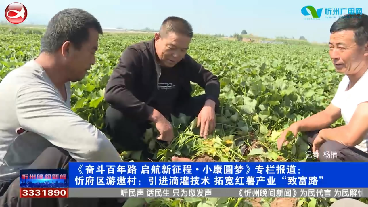 《奋斗百年路 起航新征程·小康圆梦》专栏报道：忻府区游邀村：引进滴灌技术 拓宽红薯产业“致富路”​