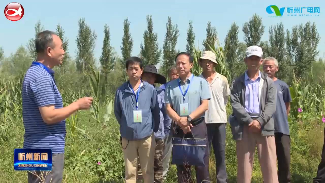 忻府区：我为群众办实事 科技助农促发展​