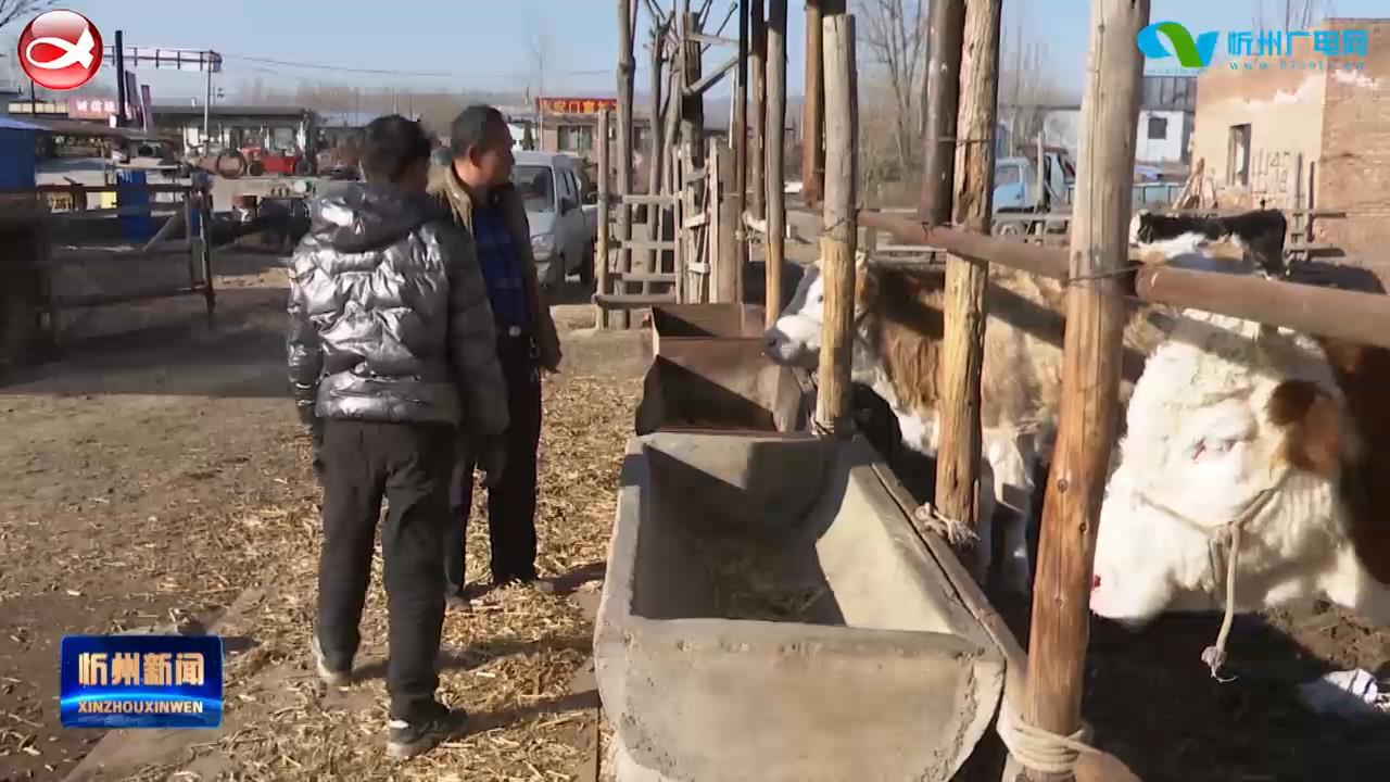 代县郭志平：养殖群众的贴心人 畜禽健康的守护者​