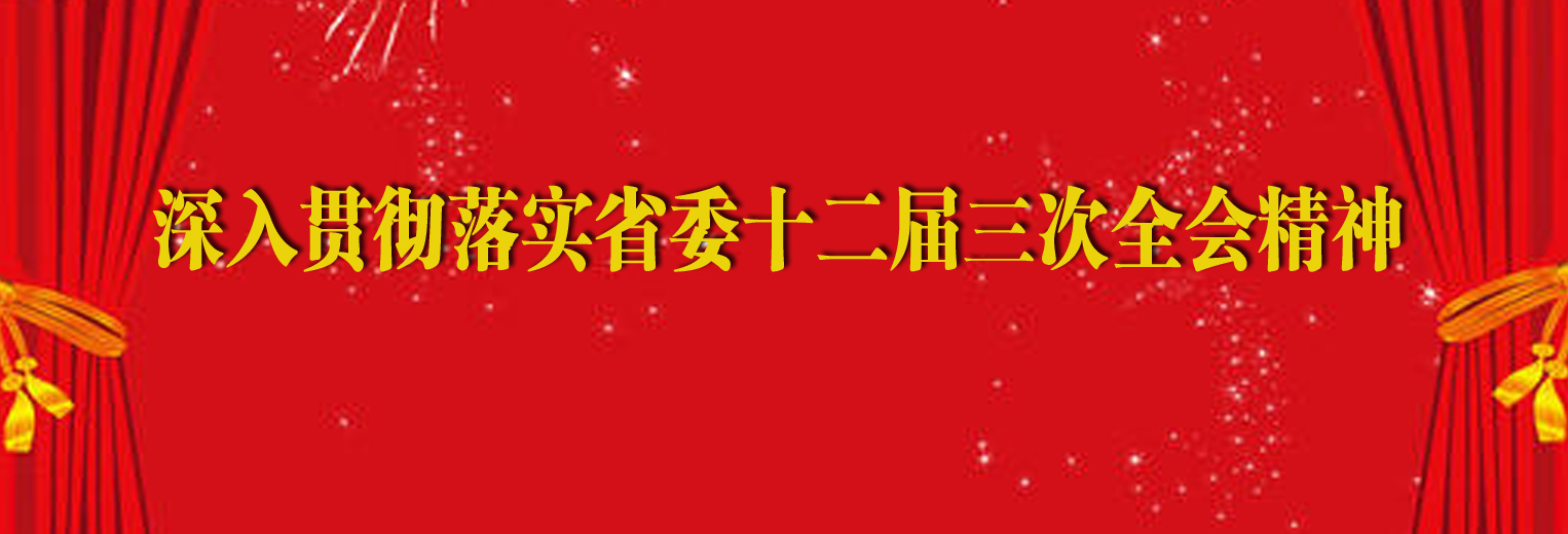 深入贯彻落实省委十二届三次全会精神