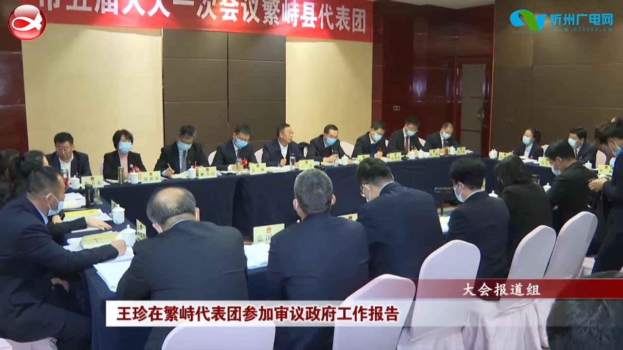王珍在繁峙代表团参加审议政府工作报告​