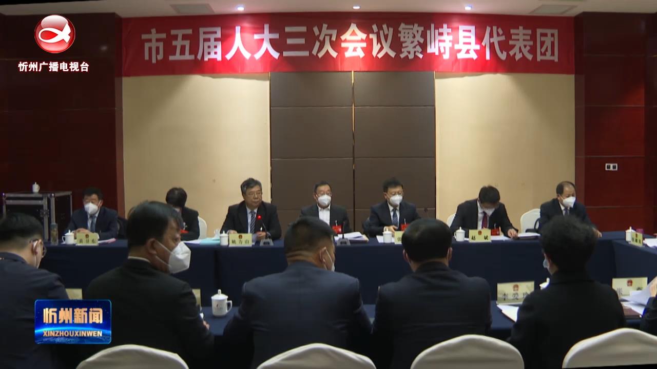 王珍在繁峙代表团参加审议政府工作报告