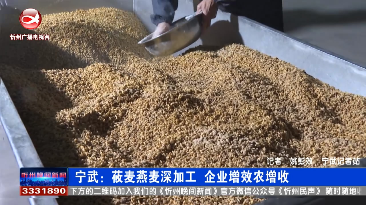 宁武：莜麦燕麦深加工 企业增效农增收​