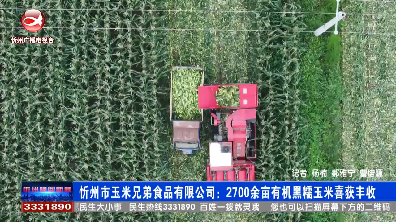 忻州市玉米兄弟食品有限公司：2700余亩有机黑糯玉米喜获丰收​