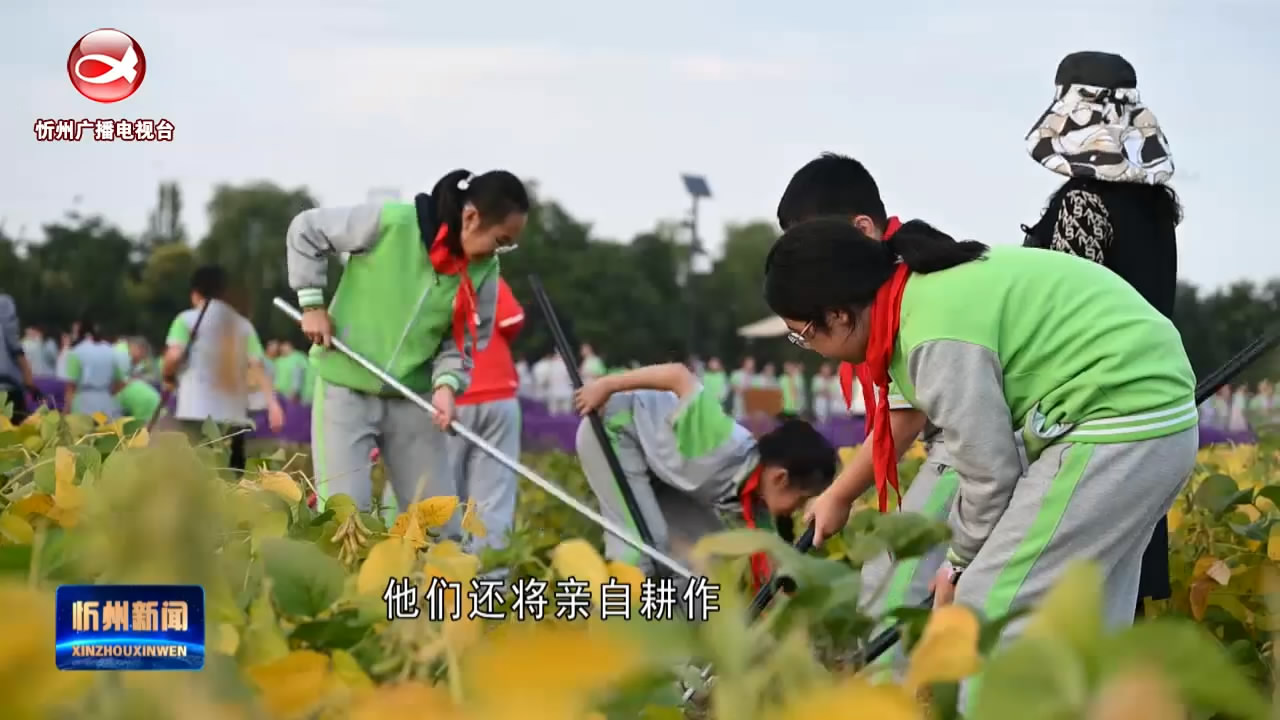 中国杂粮科技展示园：体验农耕乐趣 展示智慧农业​