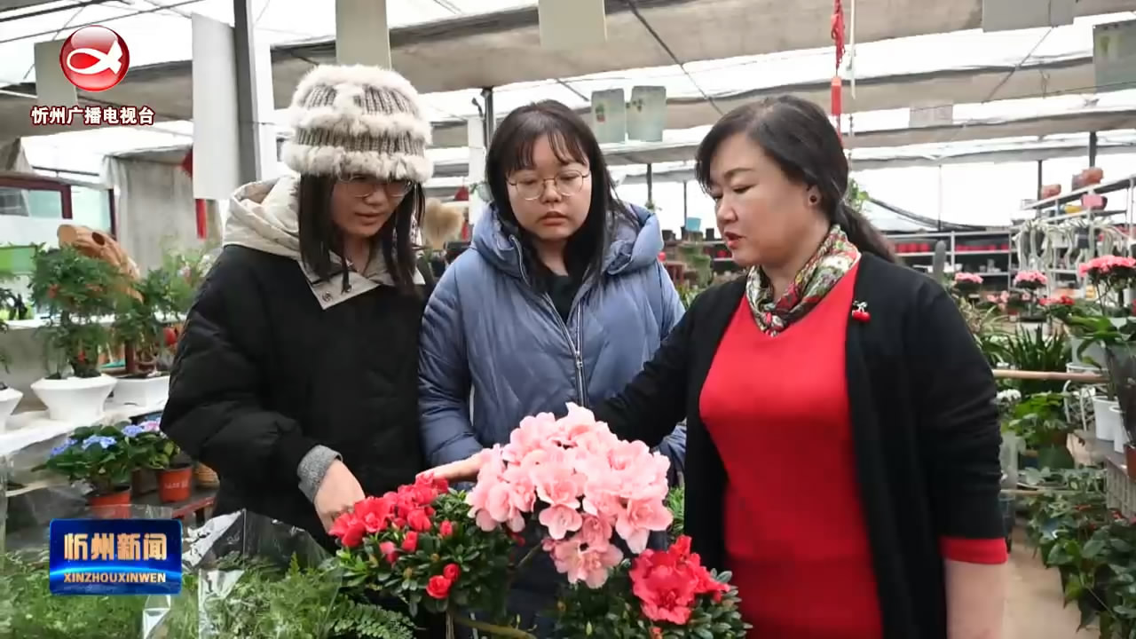 新春添“花景”“花”样迎新年 ​