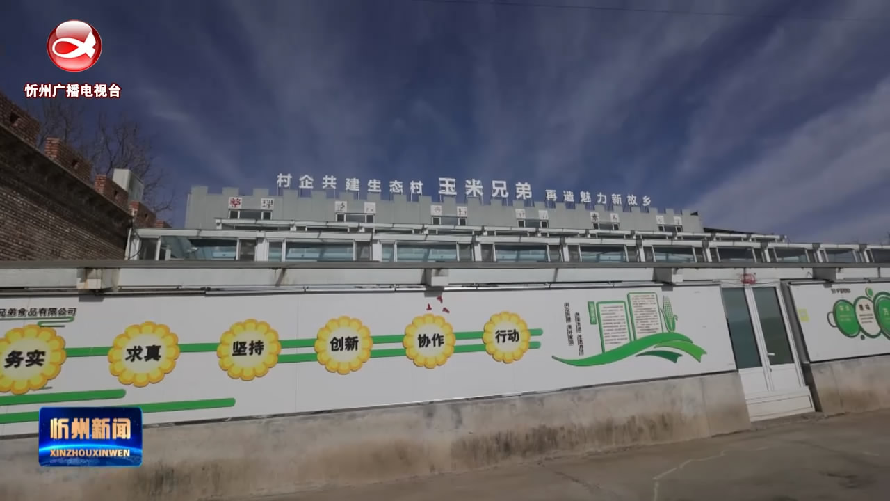 忻州市玉米兄弟食品有限公司：做绿色质优产品 绘乡村振兴美景