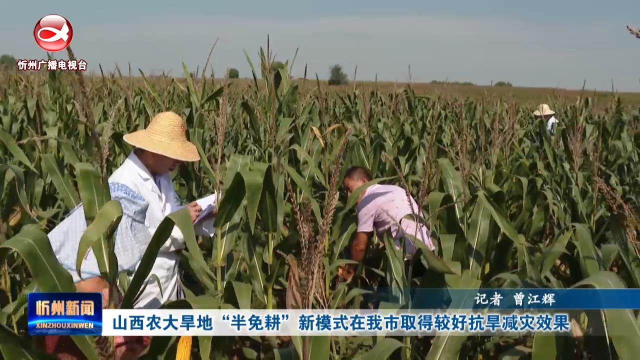 ​山西农大旱地“半免耕”新模式在我市取得较好抗旱减灾效果