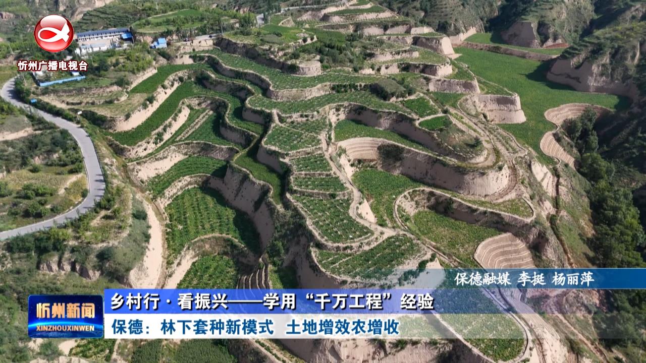 保德：林下套种新模式 土地增效农增收​