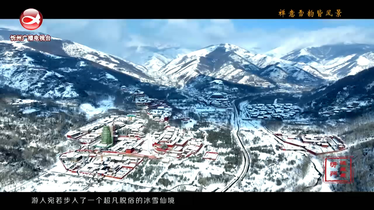 禅意雪韵皆风景​