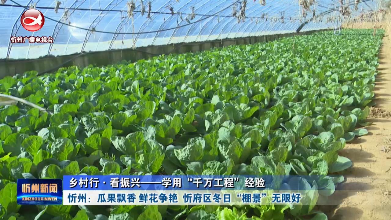 忻州：瓜果飘香 鲜花争艳  忻府区冬日“棚景”无限好​