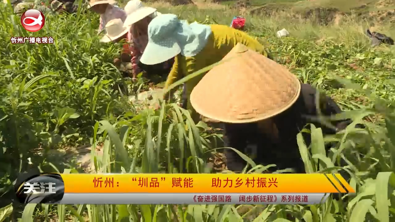 圳品赋能助力乡村振兴​