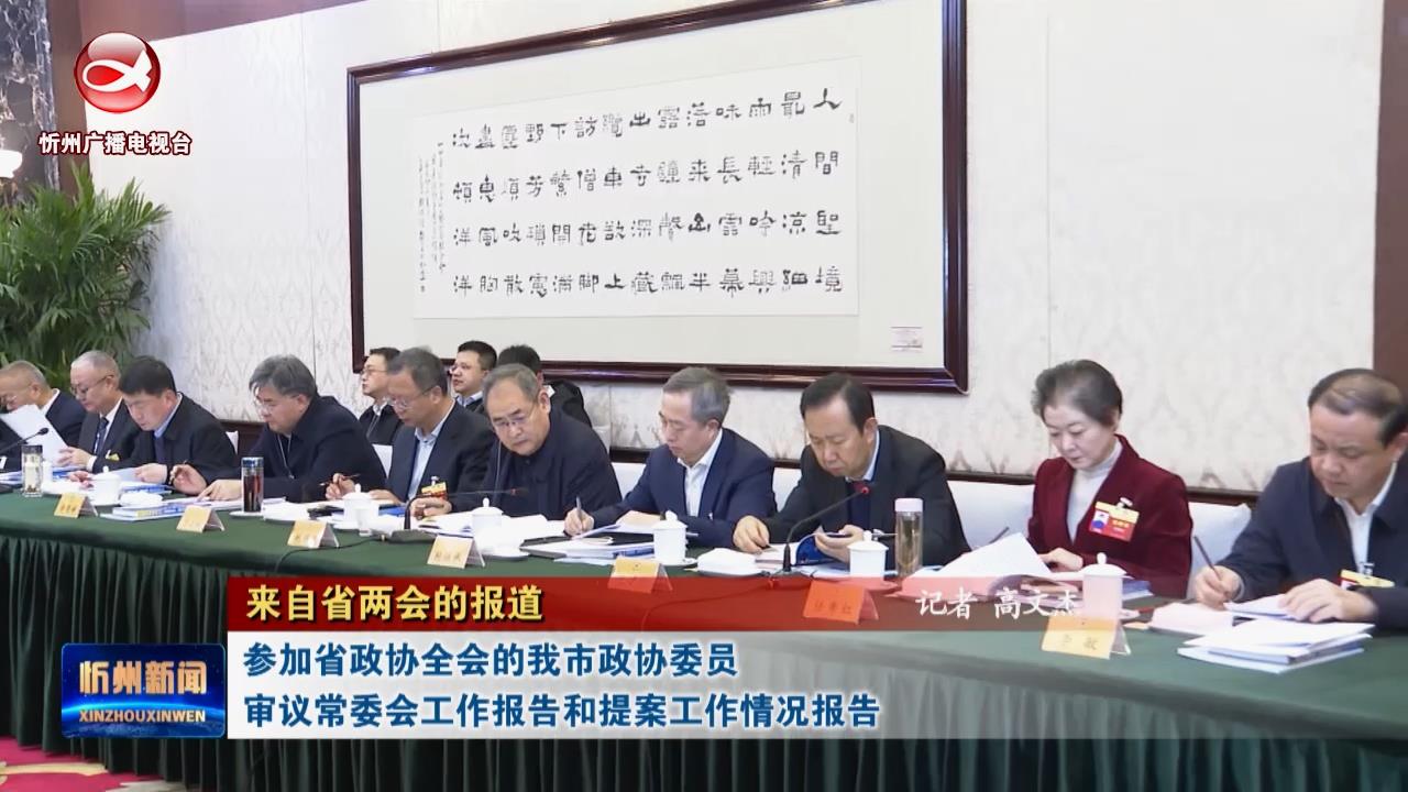 参加省政协全会的我市政协委员审议常委会工作报告和提案工作情况报告