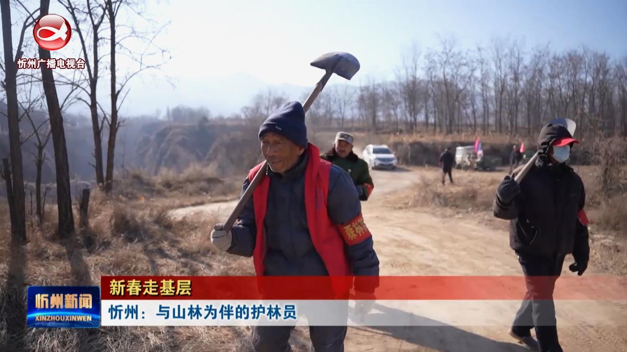 忻州：与山林为伴的护林员​