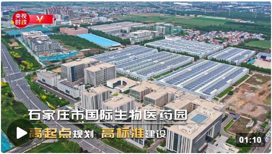 习近平河北行丨全球好药·石家庄造——走进石家庄市国际生物医药园